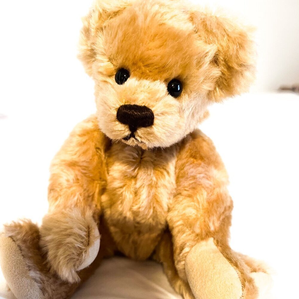 Donna Hodges Original Mohair Teddy Bear and Christmas outfit - Picture 2 of 12